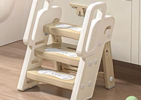 potty training seat with step stool